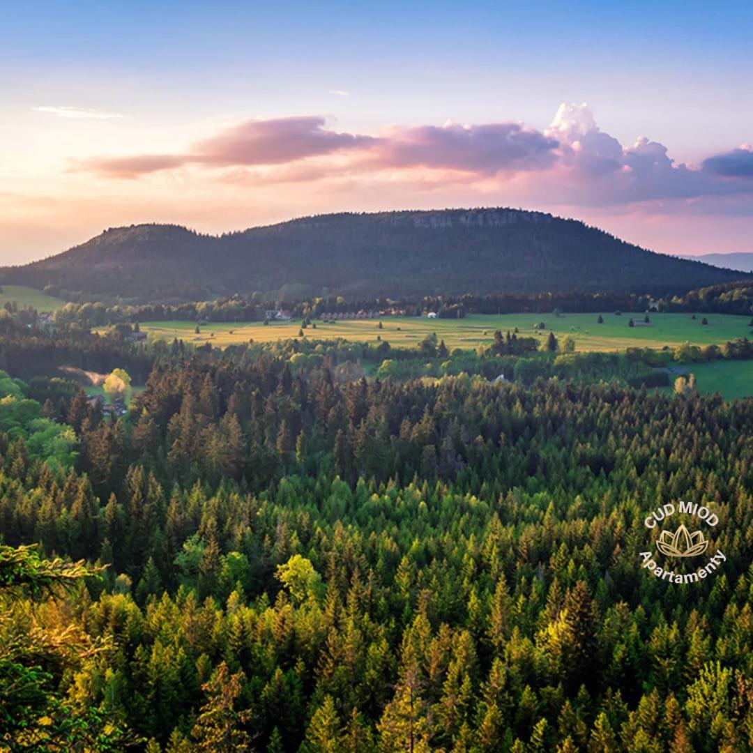 Apartamenty Cud Miod 1 Kudowa-Zdrój Exteriér fotografie
